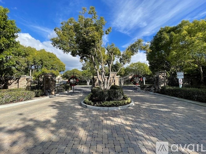 A tree in the middle of a paved walkway surrounded by bushes and trees.