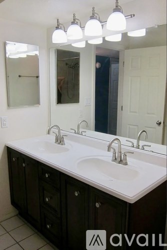 A bathroom with a double sink and a large mirror.