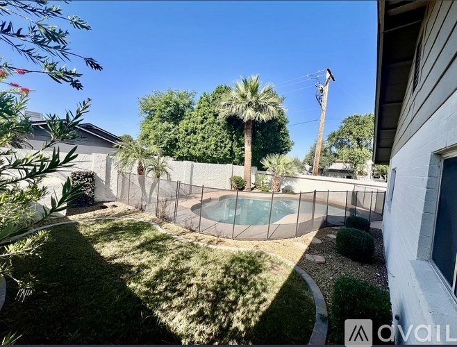A backyard with a pool surrounded by a fence.
