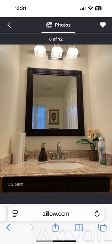 A bathroom with a sink, mirror, and a plant.