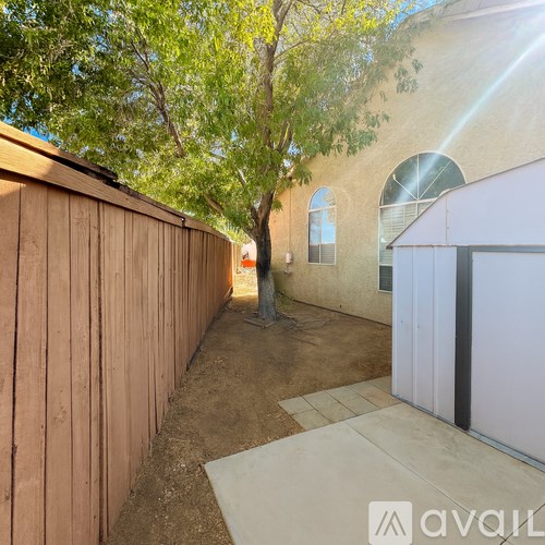 A tree in a backyard with a wooden fence and a house with a window in the background.