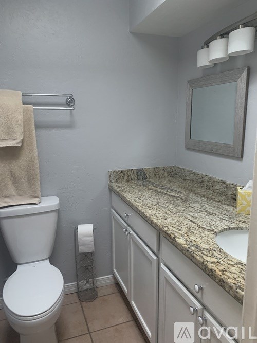 8658 North Avenida Amatista 2 Beds Townhouse for Rent - Photo Gallery 6