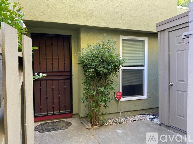 A small green plant is growing next to a window on a house.