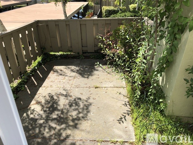 A concrete pathway leads to a wooden fence with green plants on both sides.