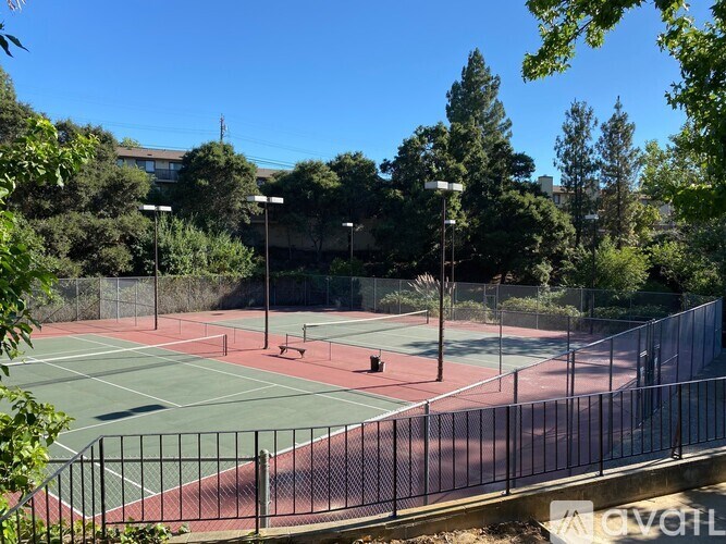 A tennis court surrounded by a fence and trees.