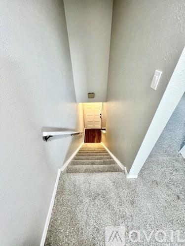 A stairway with a carpeted floor leads to a door at the end.