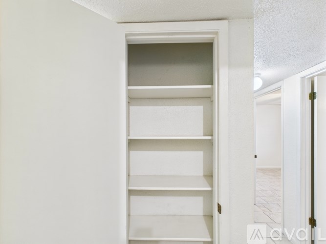 A white pantry with shelves and a door.