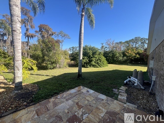 A backyard with a stone pathway and a palm tree.