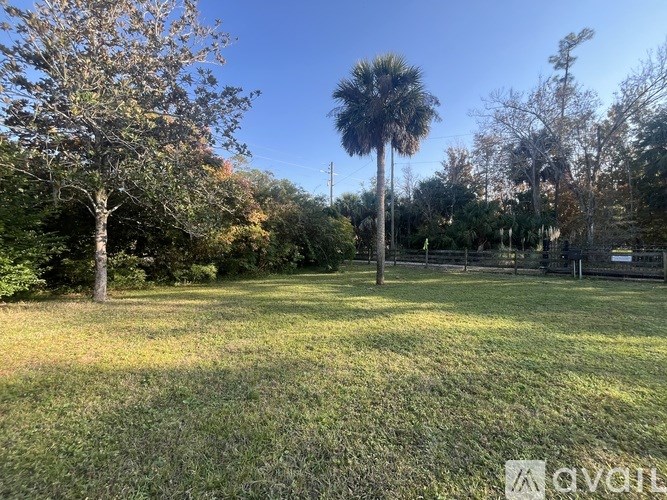 A grassy field with trees and a clear sky.