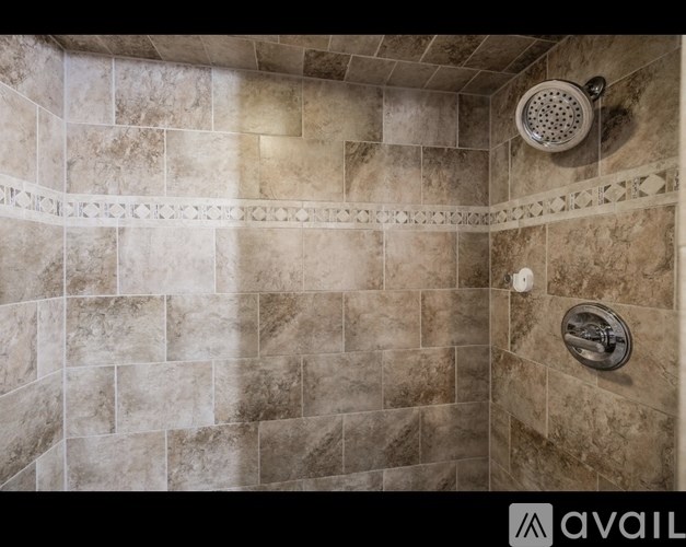 A shower area with a tiled wall and a shower head.