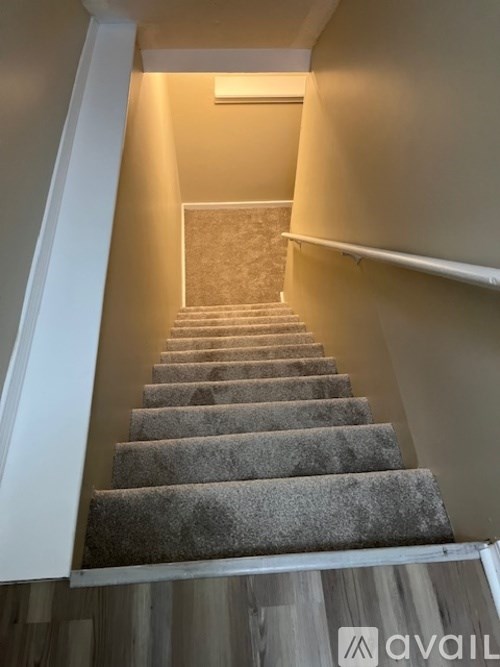 A staircase with a carpeted runner and wooden steps.