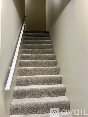 A staircase with a carpeted runner and a white handrail.
