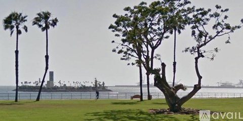 A tree in a grassy area with a view of a waterfront and a building in the distance.