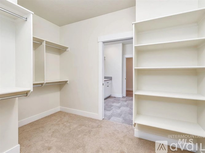 A white closet with shelves and a carpeted floor.