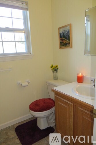 A bathroom with a toilet, sink, and a window.