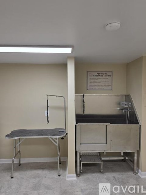 1002 East Main Street 1 Bed Apartment for Rent - Photo Gallery 3