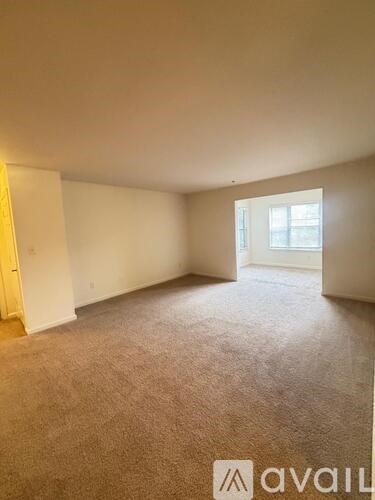 A carpeted room with a window and a door.