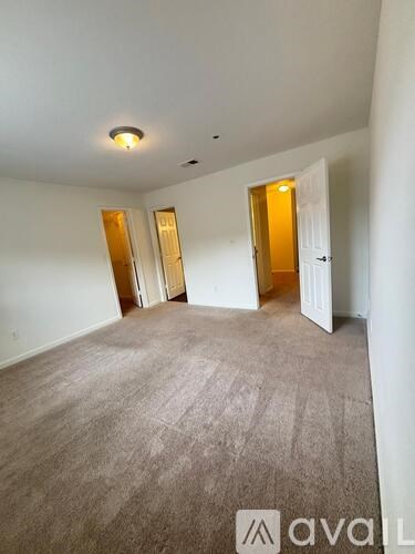 A room with carpeted floor and three doors.