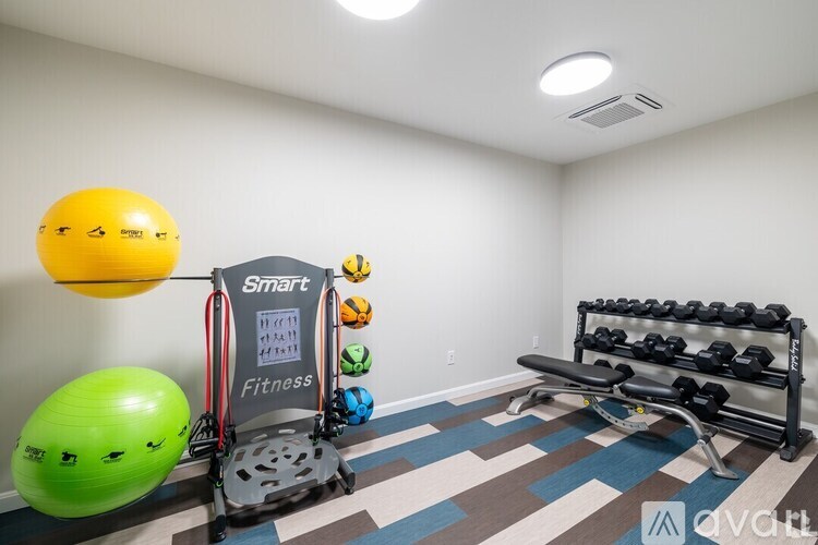 A room with a Smart Fitness machine, a bench with dumbbells, and two exercise balls.