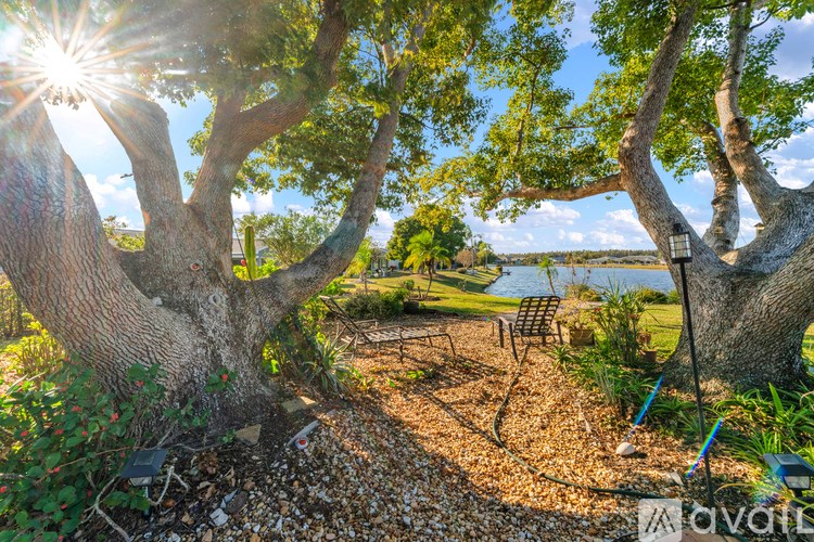 A sunny day at a tree-lined beachfront property.