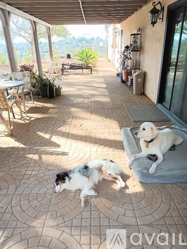 Two dogs are lying on a mat on a patio.