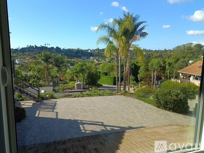 A view from a window looking out onto a patio with a palm tree.