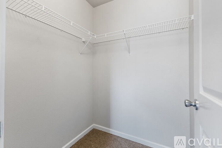 A white closet with a carpeted floor and a white door.