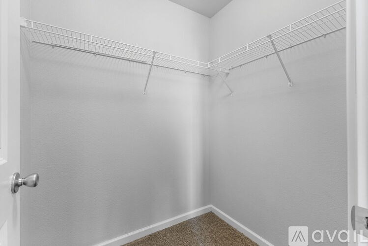 A white closet with a carpeted floor and a white door.