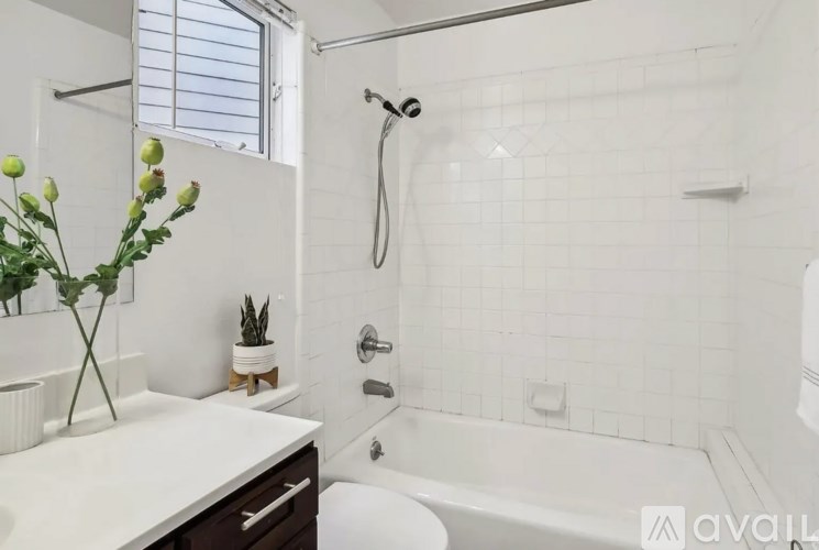 A white bathroom with a tub, sink, and a plant.