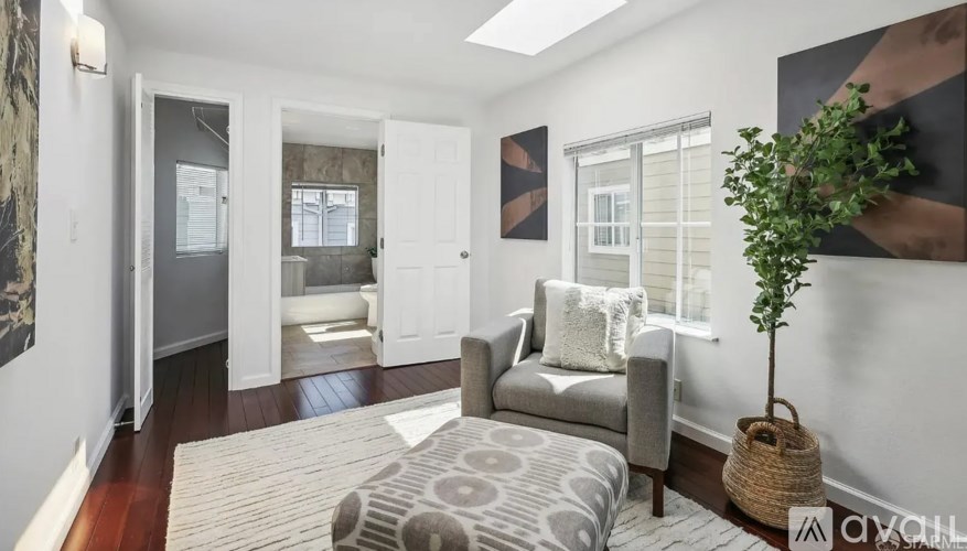 A living room with a grey couch and a plant on the side table.