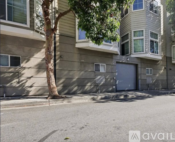 A tree is in front of a building with a closed garage door.