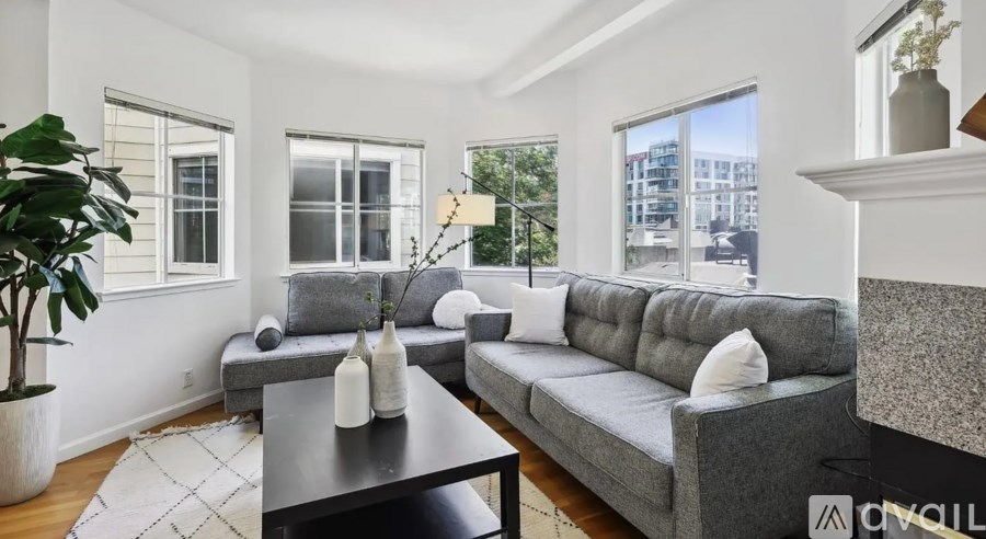 A living room with a grey couch, a black coffee table, and a potted plant.