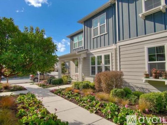 A row of houses with a sidewalk and landscaping in front.