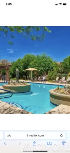 A pool with a cactus in the middle of it.