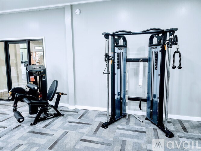 A gym with a squat rack and a leg press machine.
