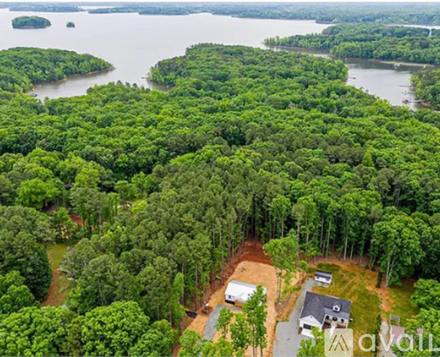A lush green forest with a house and a road in the foreground.