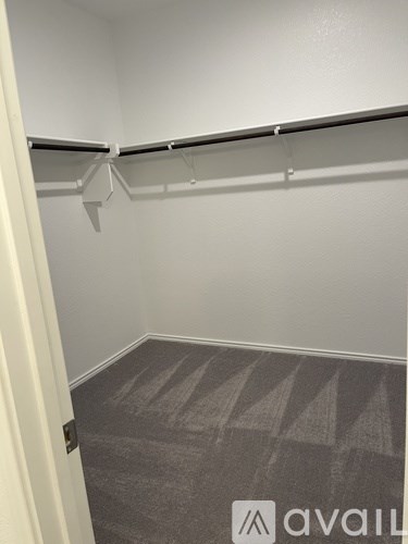 A small, empty closet with a carpeted floor.