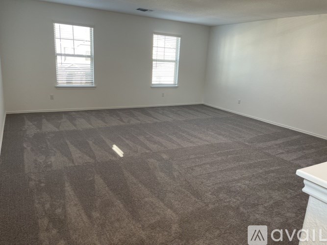 A room with carpeted floor and two windows.