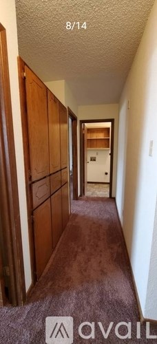 A hallway with wooden cabinets and a carpeted floor.