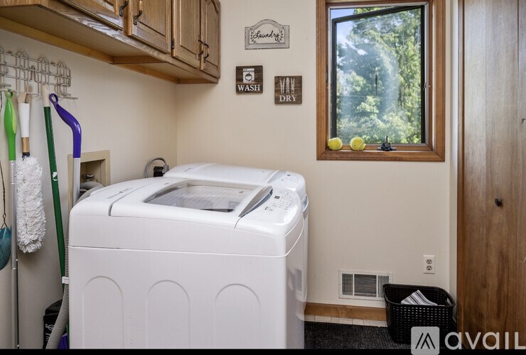 A white washing machine in a laundry room with a window showing trees outside.