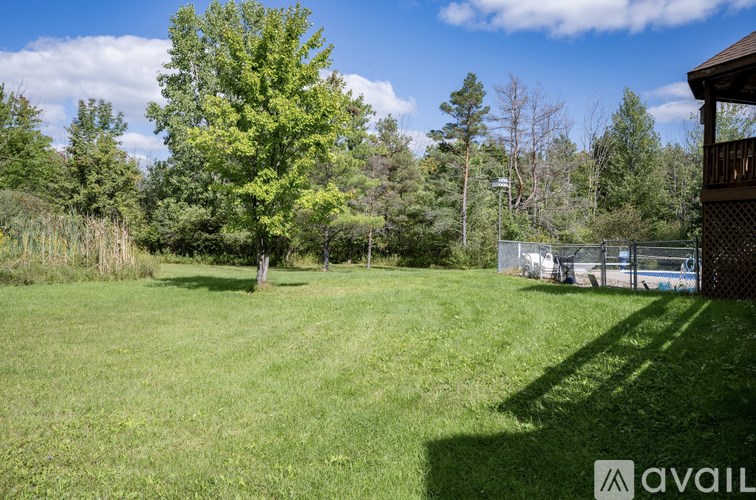 A grassy field with trees and a wooden structure in the background.