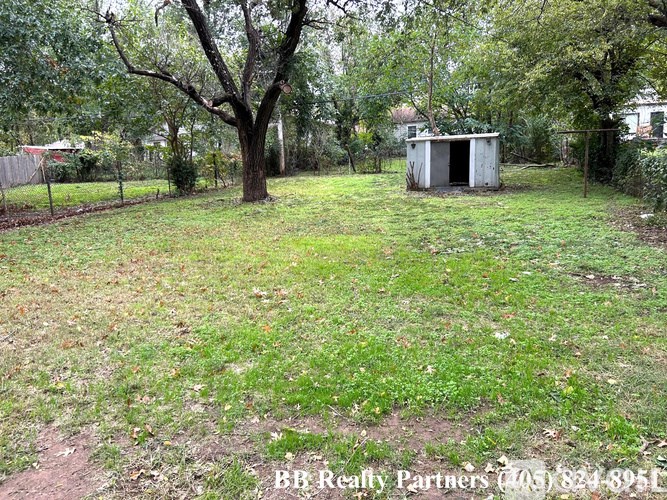 A backyard with a tree, a shed, and a fence.