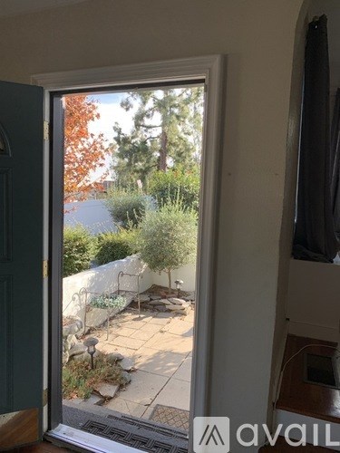 A view of a backyard through a sliding glass door.