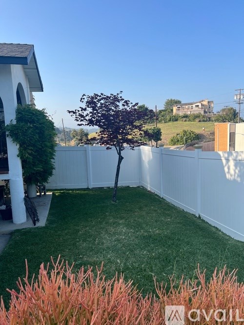 A tree in a yard with a white fence.