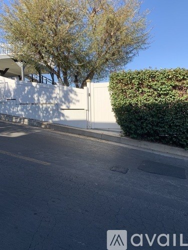 A street with a white wall and a green hedge.