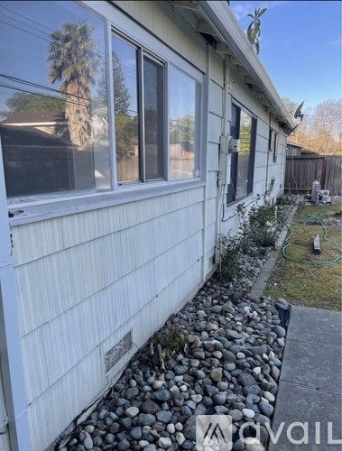 A house with a white siding and a window with a reflection of a palm tree.