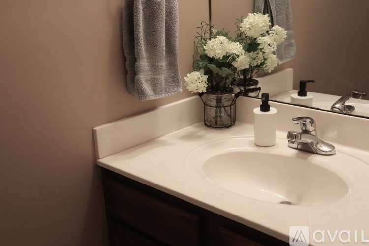 312 Long Pointe Lane 3 Beds Townhouse for Rent - Photo Gallery 12