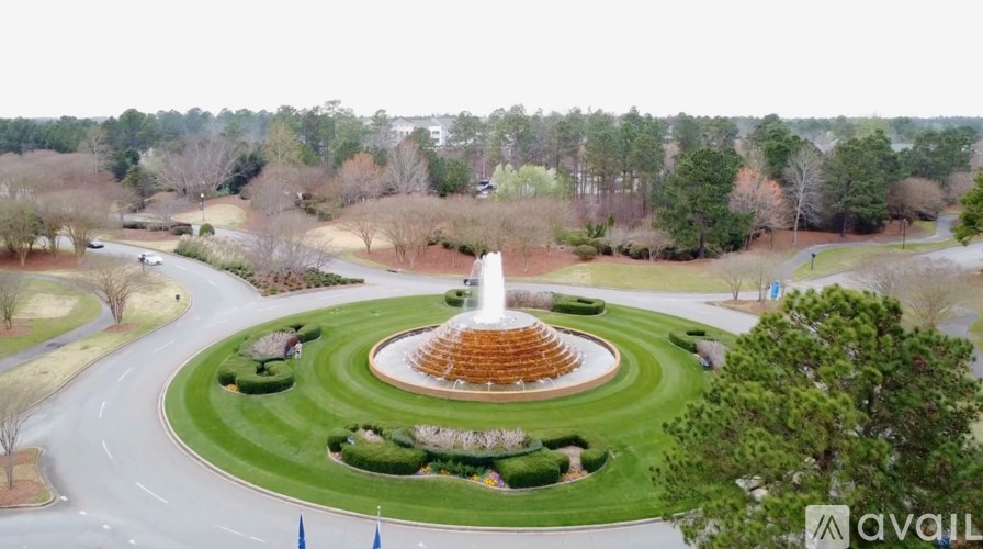 312 Long Pointe Lane 3 Beds Townhouse for Rent - Photo Gallery 15