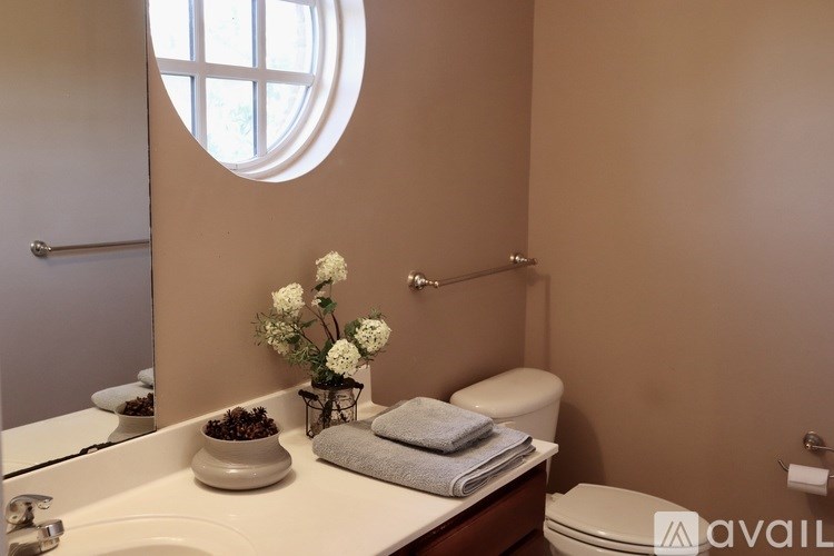 312 Long Pointe Lane 3 Beds Townhouse for Rent - Photo Gallery 9