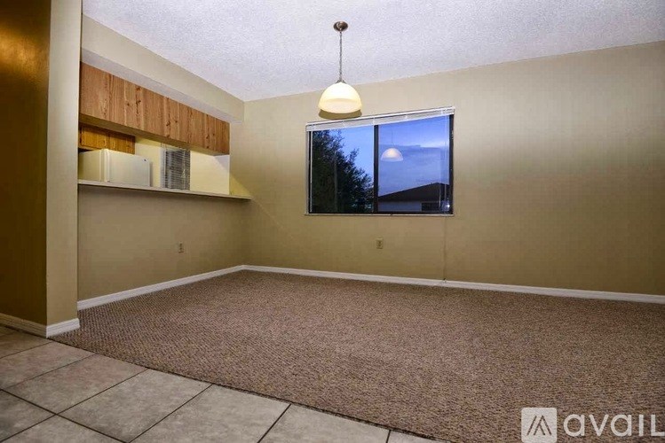 A room with a carpeted floor and a window showing the night sky.